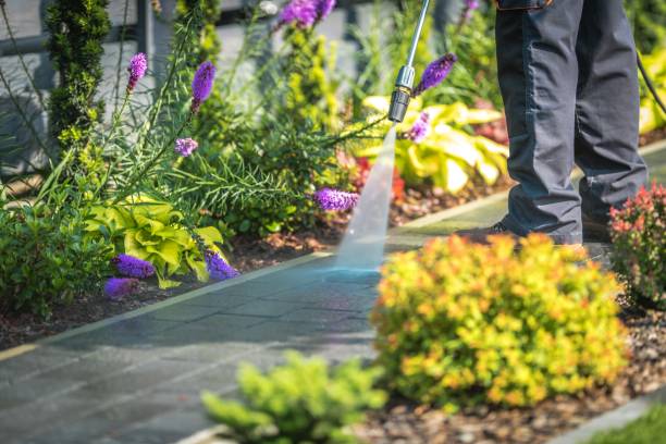 Best Sidewalk and Walkway Pressure Cleaning in Bolivar, TN